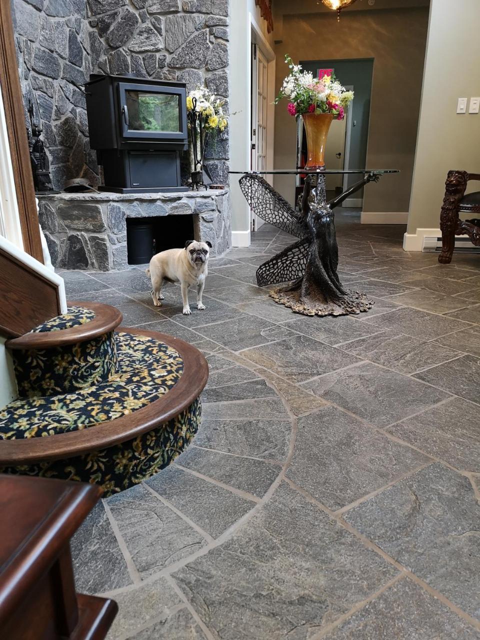 Отель Woodstone Manor Inc. Sturdies Bay Экстерьер фото